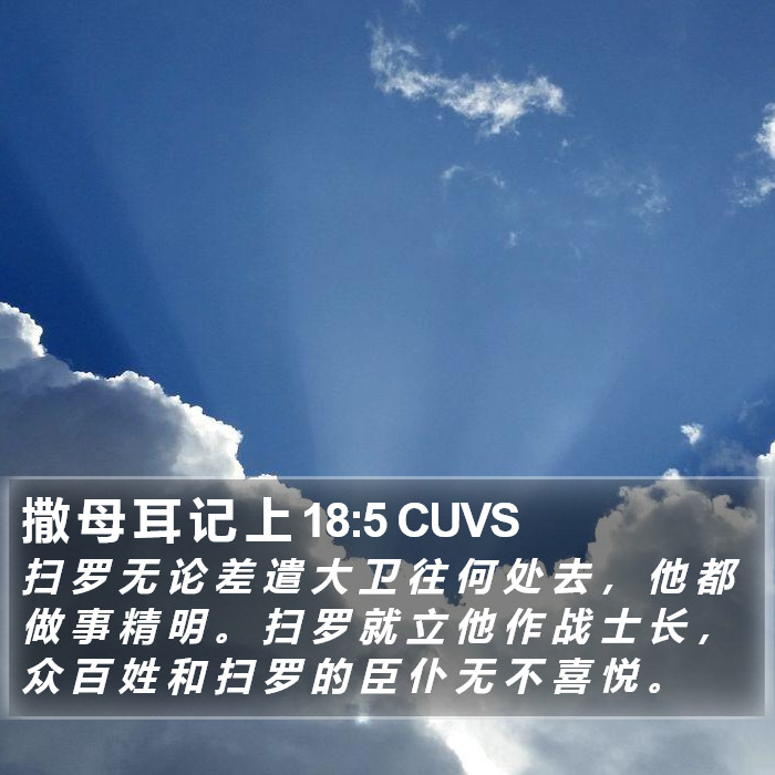 撒 母 耳 记 上 18:5 CUVS Bible Study