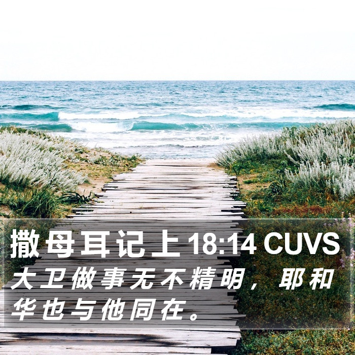 撒 母 耳 记 上 18:14 CUVS Bible Study
