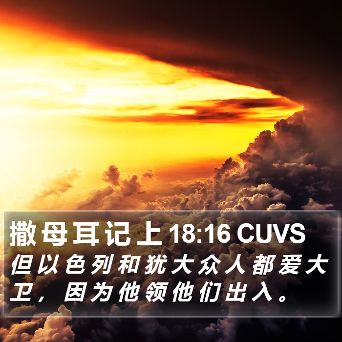 撒 母 耳 记 上 18:16 CUVS Bible Study