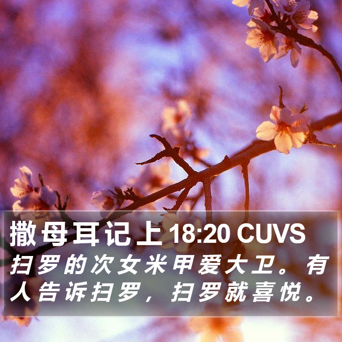 撒 母 耳 记 上 18:20 CUVS Bible Study