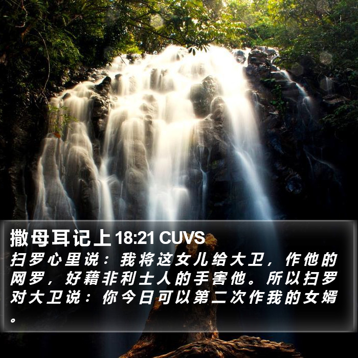 撒 母 耳 记 上 18:21 CUVS Bible Study