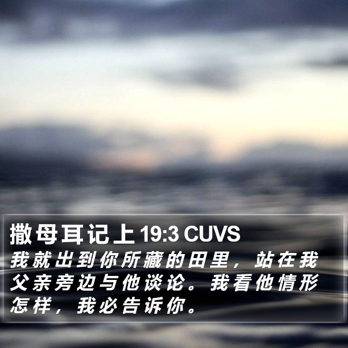 撒 母 耳 记 上 19:3 CUVS Bible Study