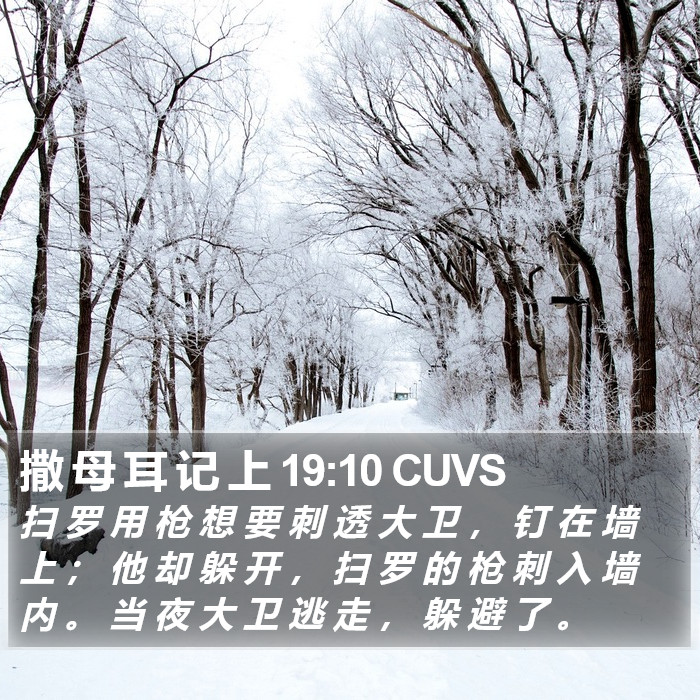 撒 母 耳 记 上 19:10 CUVS Bible Study