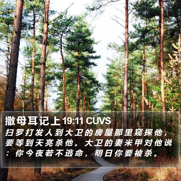 撒 母 耳 记 上 19:11 CUVS Bible Study