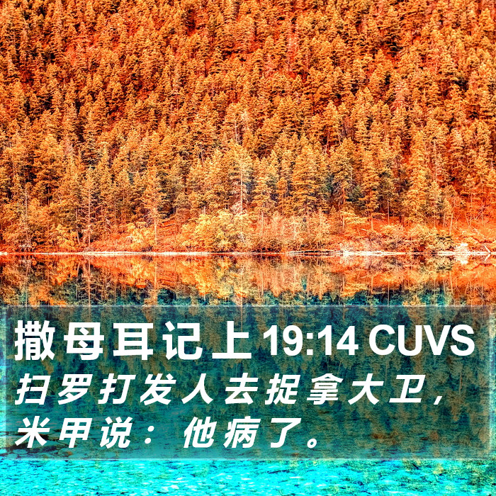 撒 母 耳 记 上 19:14 CUVS Bible Study