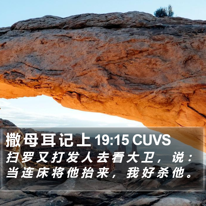 撒 母 耳 记 上 19:15 CUVS Bible Study