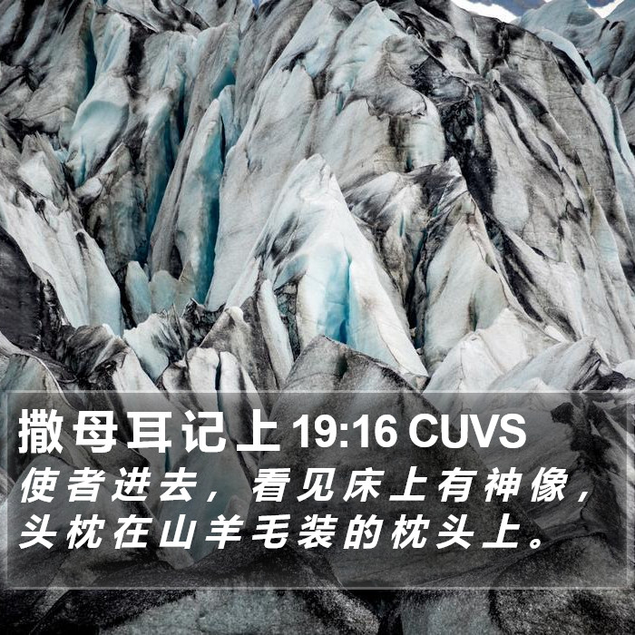 撒 母 耳 记 上 19:16 CUVS Bible Study