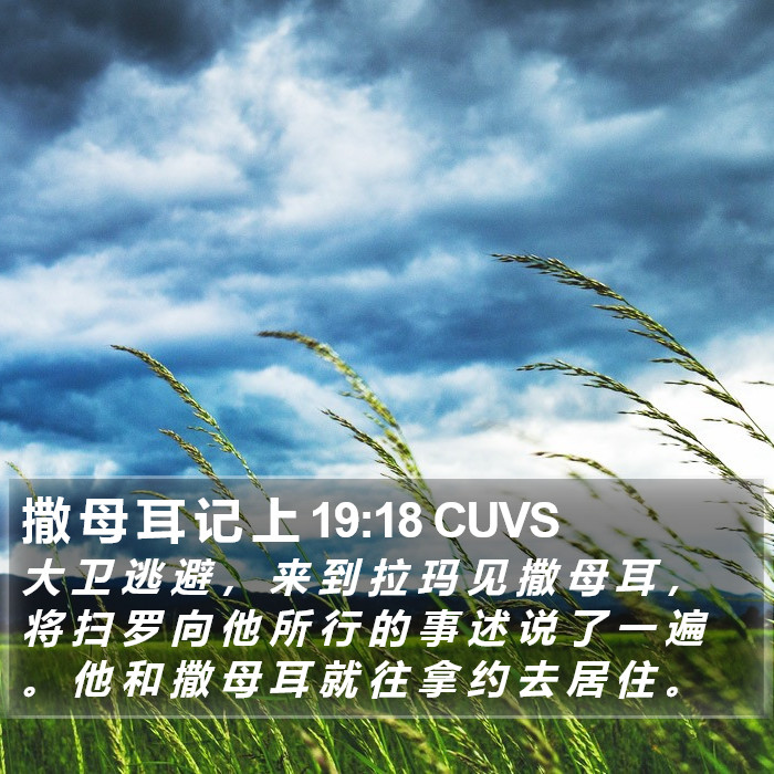 撒 母 耳 记 上 19:18 CUVS Bible Study