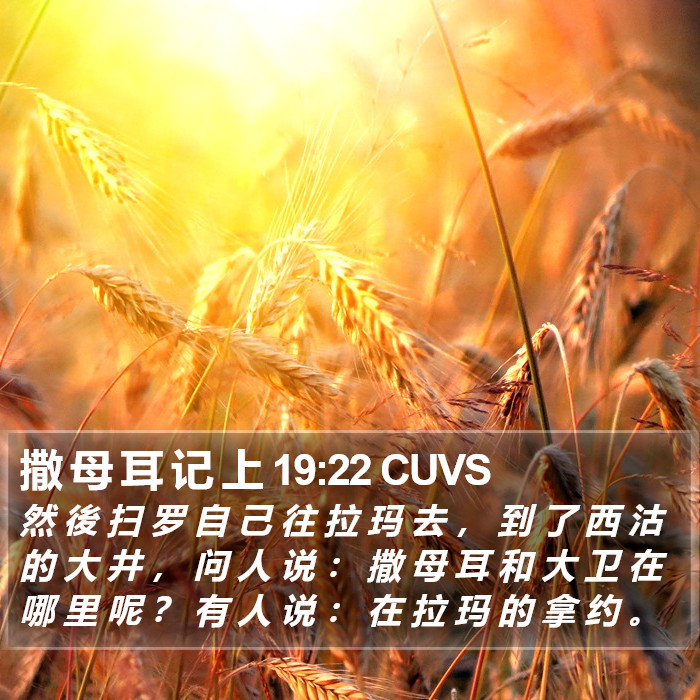 撒 母 耳 记 上 19:22 CUVS Bible Study