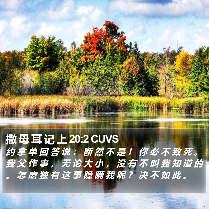 撒 母 耳 记 上 20:2 CUVS Bible Study