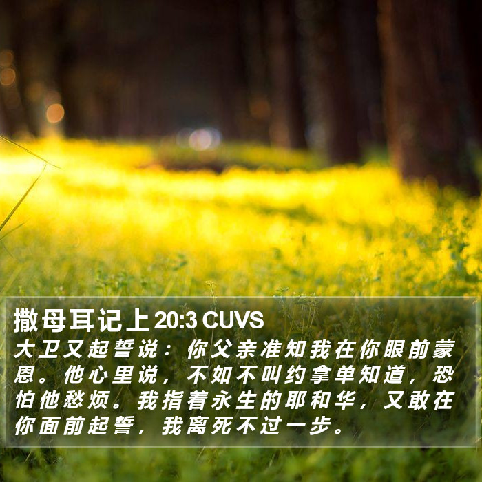 撒 母 耳 记 上 20:3 CUVS Bible Study