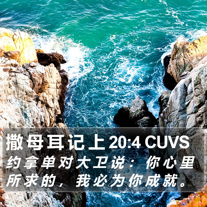 撒 母 耳 记 上 20:4 CUVS Bible Study