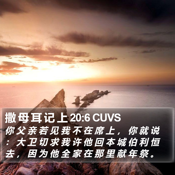 撒 母 耳 记 上 20:6 CUVS Bible Study