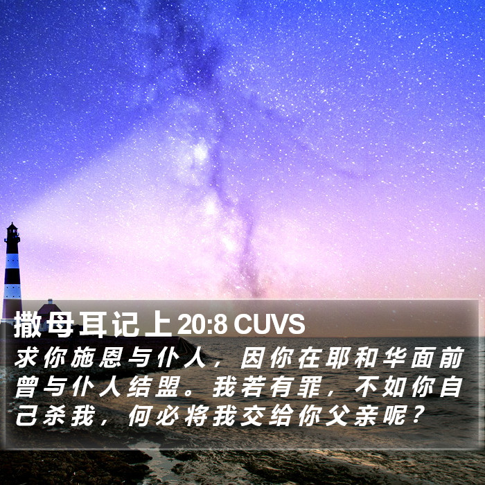 撒 母 耳 记 上 20:8 CUVS Bible Study