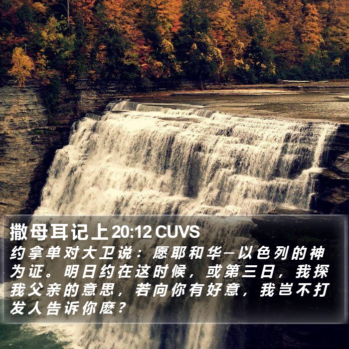 撒 母 耳 记 上 20:12 CUVS Bible Study
