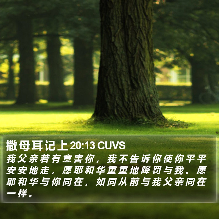 撒 母 耳 记 上 20:13 CUVS Bible Study