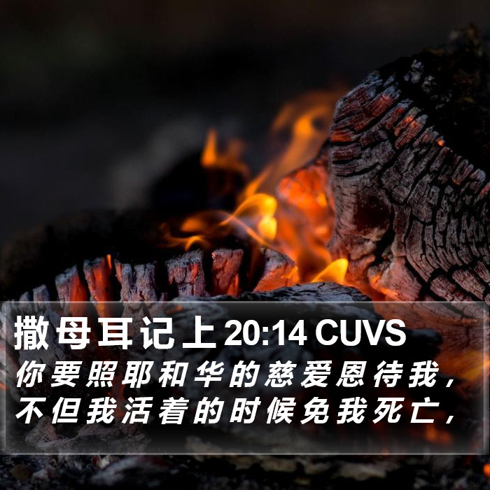 撒 母 耳 记 上 20:14 CUVS Bible Study