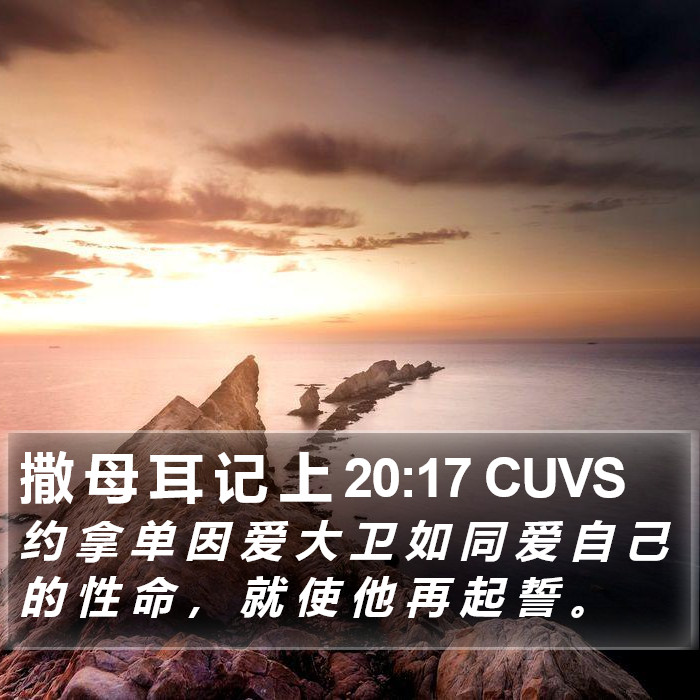 撒 母 耳 记 上 20:17 CUVS Bible Study