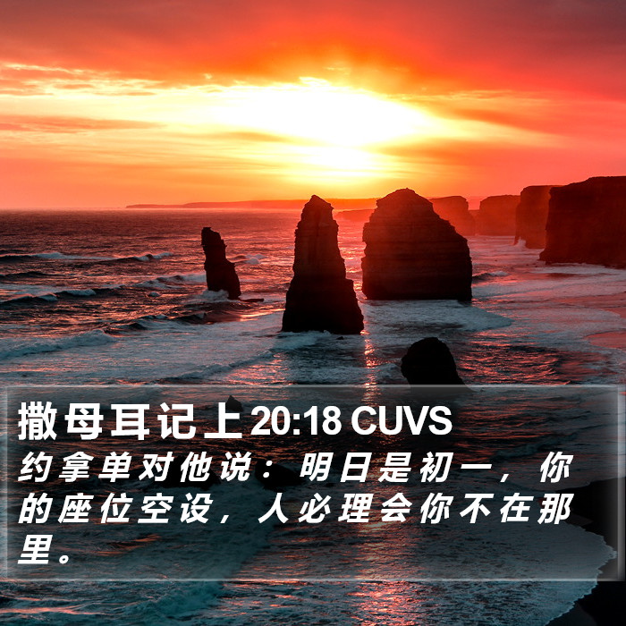 撒 母 耳 记 上 20:18 CUVS Bible Study