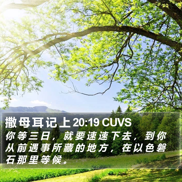 撒 母 耳 记 上 20:19 CUVS Bible Study