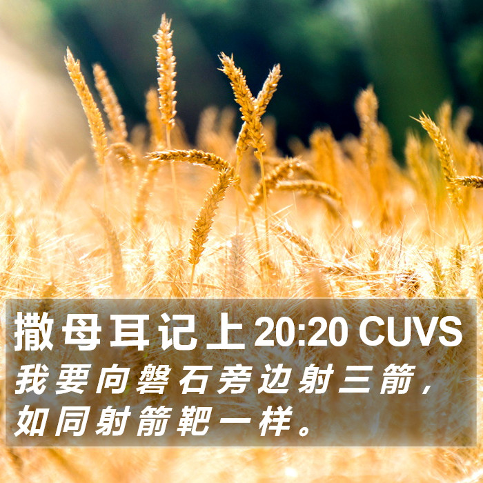 撒 母 耳 记 上 20:20 CUVS Bible Study