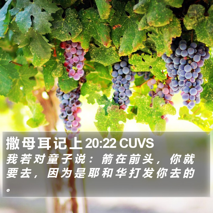 撒 母 耳 记 上 20:22 CUVS Bible Study