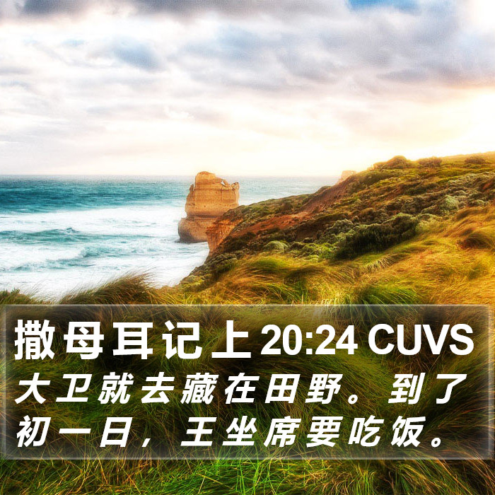 撒 母 耳 记 上 20:24 CUVS Bible Study