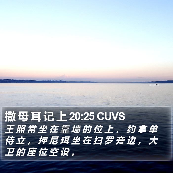 撒 母 耳 记 上 20:25 CUVS Bible Study