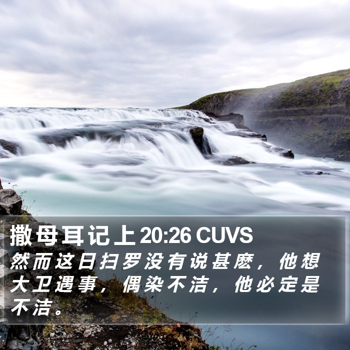 撒 母 耳 记 上 20:26 CUVS Bible Study