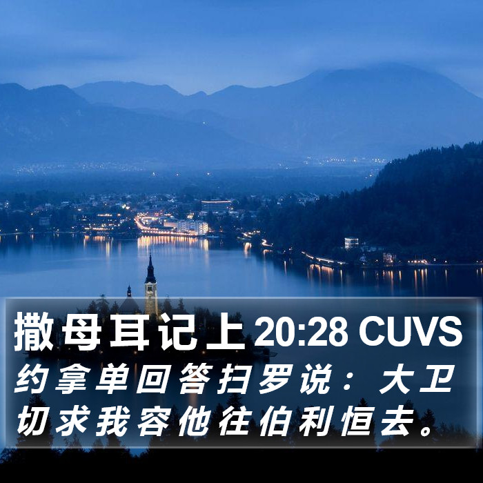 撒 母 耳 记 上 20:28 CUVS Bible Study