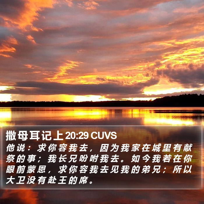 撒 母 耳 记 上 20:29 CUVS Bible Study