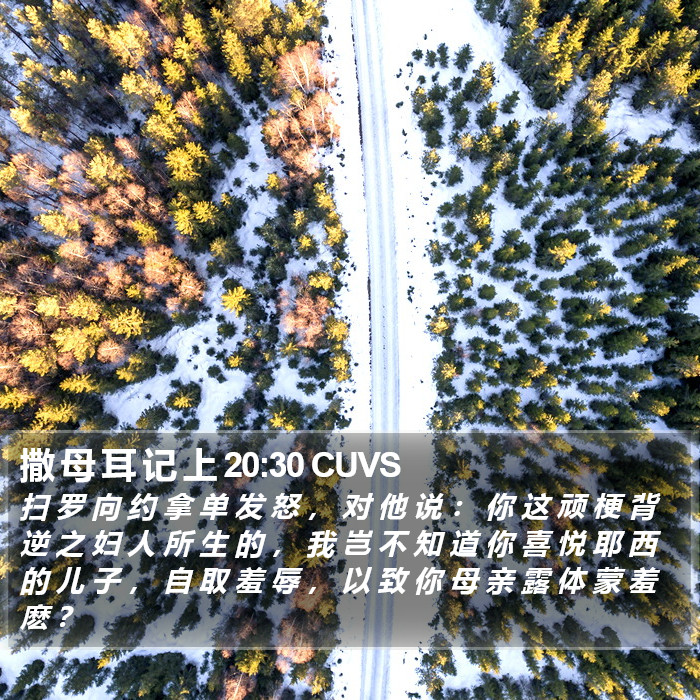 撒 母 耳 记 上 20:30 CUVS Bible Study