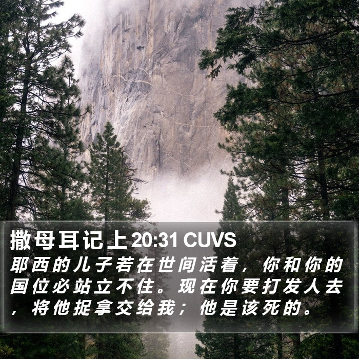 撒 母 耳 记 上 20:31 CUVS Bible Study