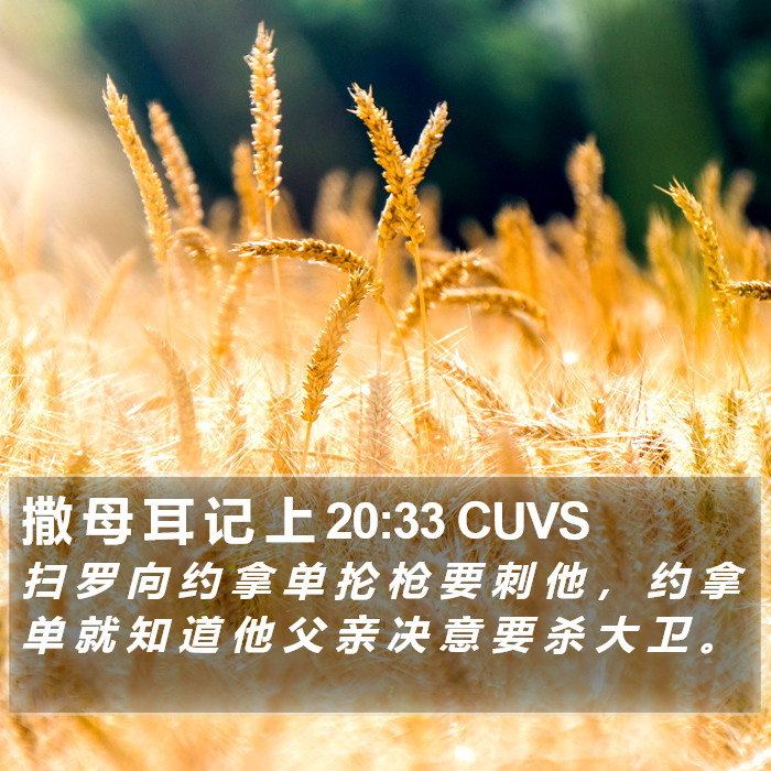 撒 母 耳 记 上 20:33 CUVS Bible Study