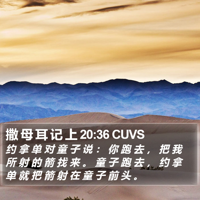 撒 母 耳 记 上 20:36 CUVS Bible Study