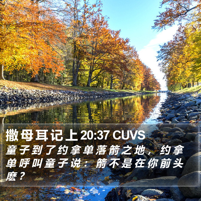 撒 母 耳 记 上 20:37 CUVS Bible Study