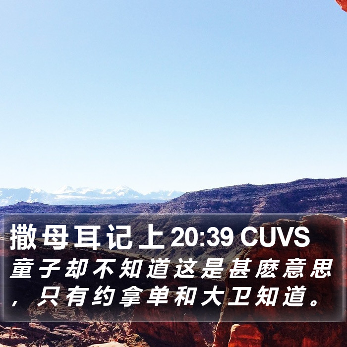 撒 母 耳 记 上 20:39 CUVS Bible Study