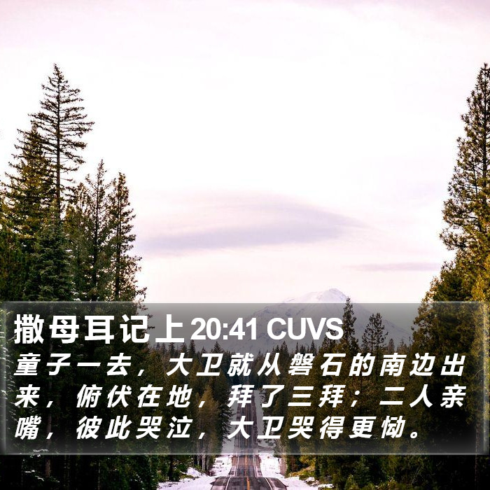 撒 母 耳 记 上 20:41 CUVS Bible Study