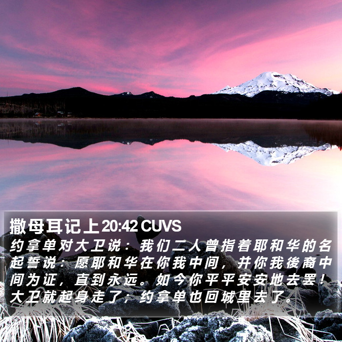 撒 母 耳 记 上 20:42 CUVS Bible Study