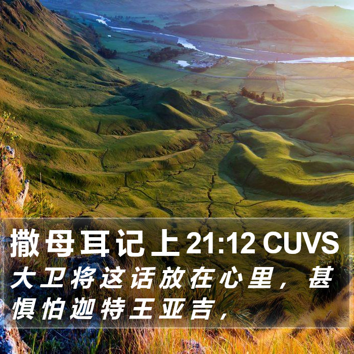 撒 母 耳 记 上 21:12 CUVS Bible Study