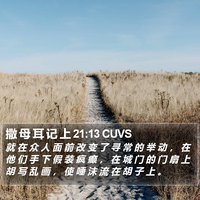 撒 母 耳 记 上 21:13 CUVS Bible Study