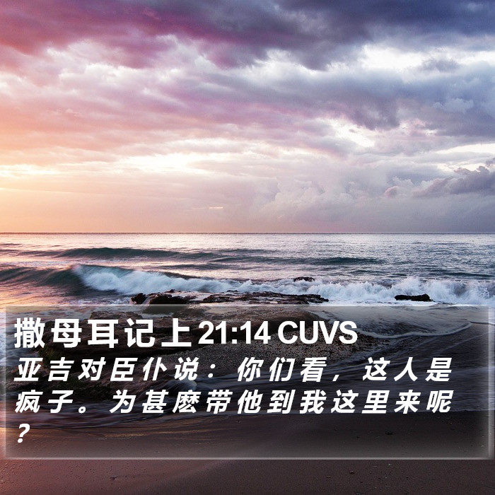 撒 母 耳 记 上 21:14 CUVS Bible Study