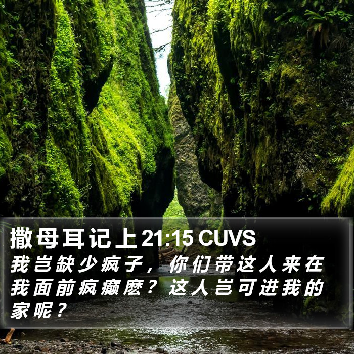 撒 母 耳 记 上 21:15 CUVS Bible Study