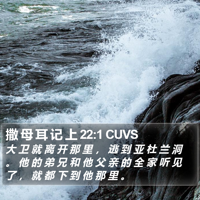 撒 母 耳 记 上 22:1 CUVS Bible Study