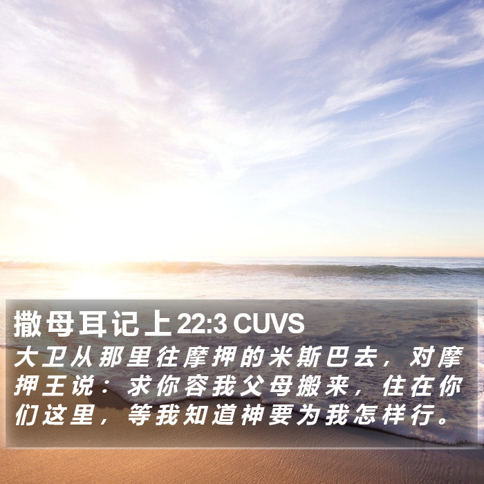 撒 母 耳 记 上 22:3 CUVS Bible Study