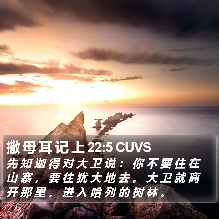 撒 母 耳 记 上 22:5 CUVS Bible Study