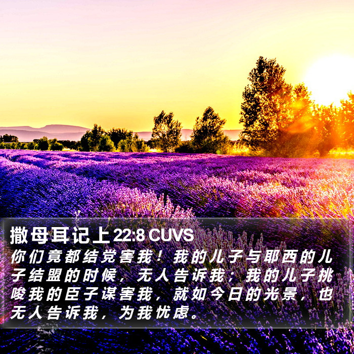 撒 母 耳 记 上 22:8 CUVS Bible Study