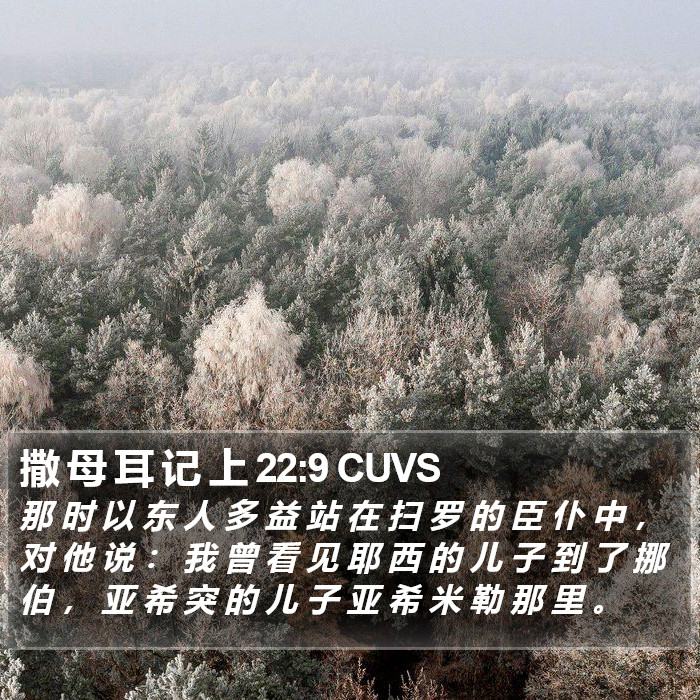 撒 母 耳 记 上 22:9 CUVS Bible Study
