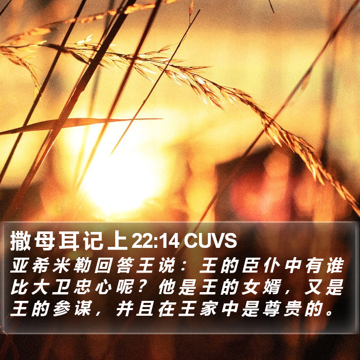 撒 母 耳 记 上 22:14 CUVS Bible Study