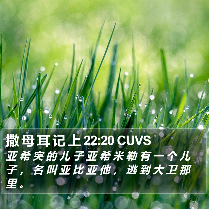 撒 母 耳 记 上 22:20 CUVS Bible Study